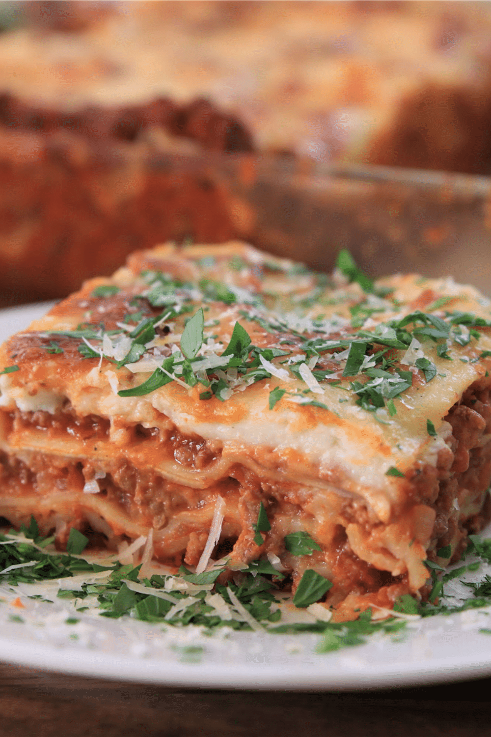 Homemade Recipes Italian Style Lasagna